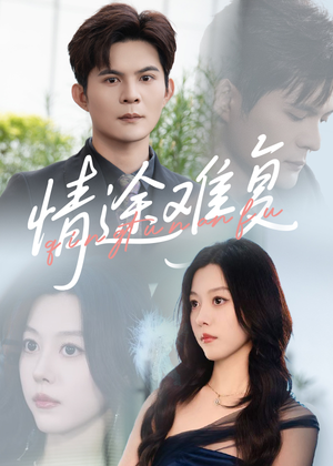 情途难复(50集) 情途难复(50集)最热短剧抢先看