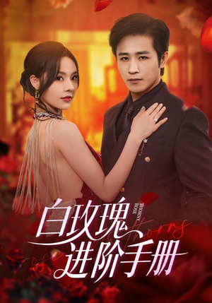 白玫瑰进阶手册(64集) 白玫瑰进阶手册(64集)免费观看完整版