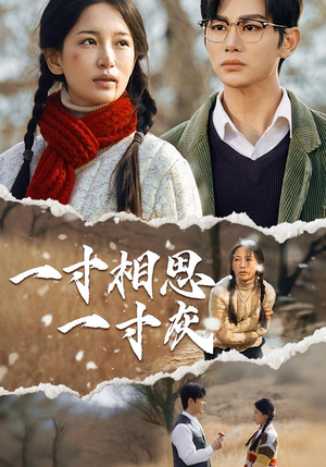 一寸相思一寸灰(43集) 一寸相思一寸灰(43集)热门爆款短剧