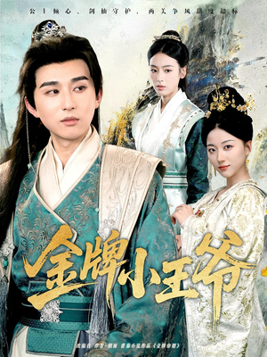 金牌小王爷（80集）一共多少集