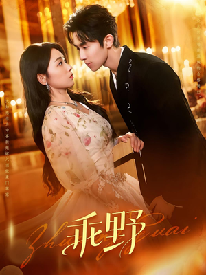 乖野(136集) 乖野(136集)评价怎么样