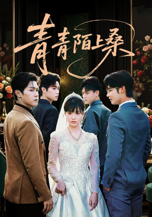 青青陌上桑(70集) 青青陌上桑(70集)解说