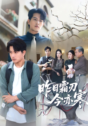 昨日霜刃今亦寒（80集）在哪看