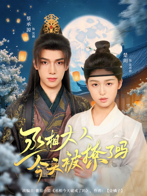 丞相大人今天被撩了吗（80集）在线观看全集