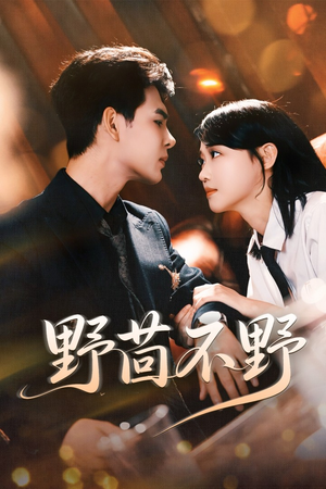 野茴不野(67集) 野茴不野(67集)在哪个平台看好