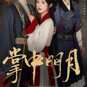 掌中明月(60集) 掌中明月(60集)短剧在线看