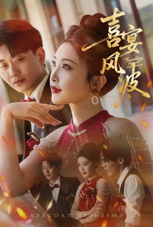 喜宴风波&替罪伴娘(30集) 喜宴风波&替罪伴娘(30集)一共多少集