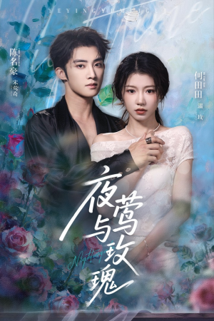 夜莺与玫瑰(66集) 夜莺与玫瑰(66集)火爆短剧来袭