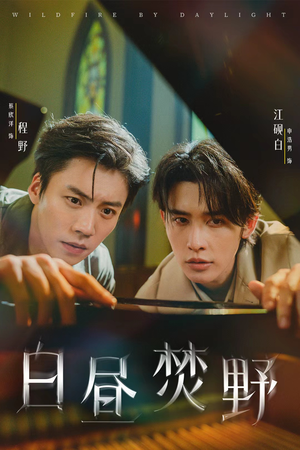 白昼焚野(70集) 白昼焚野(70集)短剧解说全集