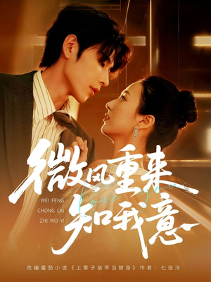 微风重来知我意(62集) 微风重来知我意(62集)全剧免费观看