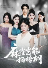 麻雀岂能栖梧桐(31集) 麻雀岂能栖梧桐(31集)恋爱短剧分享