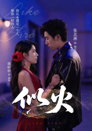 似火（80集）评价怎么样