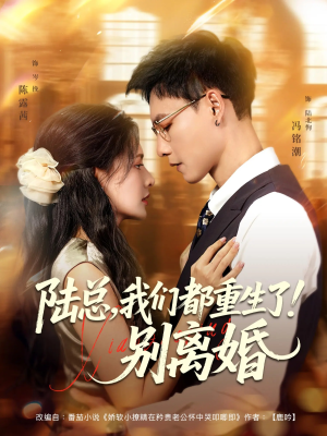 陆总我们都重生了别离婚（79集）1-102集