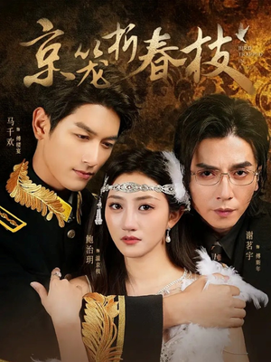 京笼折春枝(79集) 京笼折春枝(79集)短剧上头又好看