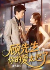 顾先生你的爱太迟了(60集) 顾先生你的爱太迟了(60集)河马免费短剧