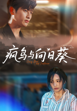 疯鸟与向日葵(40集) 疯鸟与向日葵(40集)免费短剧片段