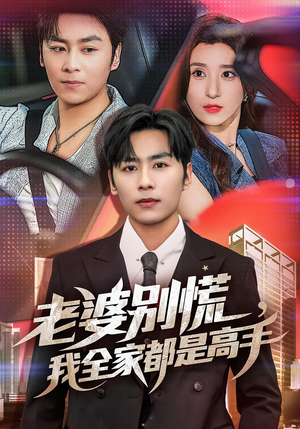 婆别慌我全家都是高手(58集) 婆别慌我全家都是高手(58集)免费看全集
