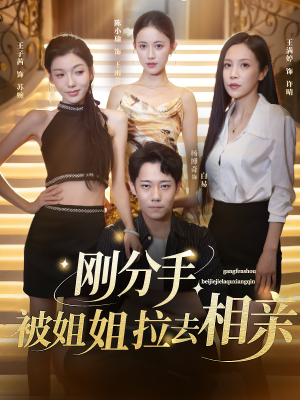 刚分手被姐姐拉去相亲(73集) 刚分手被姐姐拉去相亲(73集)一口气追完全集