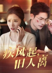 疾风起旧人离(32集) 疾风起旧人离(32集)全集一次看完