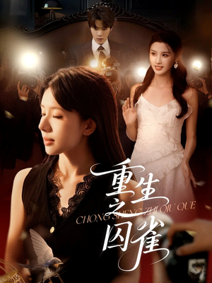 重生之囚雀（75集）更新时间