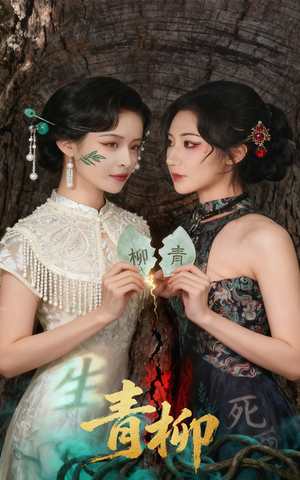 青柳(79集) 青柳(79集)在线观看完整版