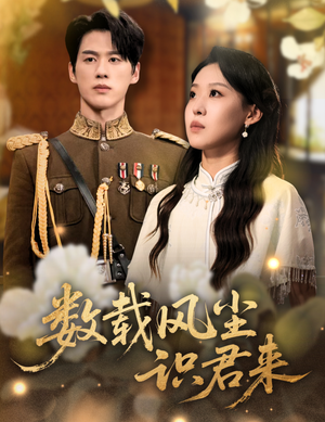 数载风尘识君来（62集）红果短剧免费看