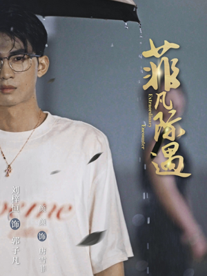 菲凡际遇(100集) 菲凡际遇(100集)免费观看全集