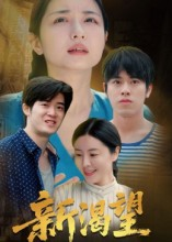 新渴望(30集) 新渴望(30集)免费短剧全集看