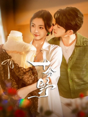 十分野&摘星予南风(73集) 十分野&摘星予南风(73集)最火的短剧