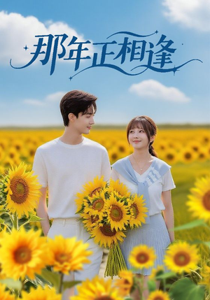 那年正相逢(60集) 那年正相逢(60集)精彩短剧热播中