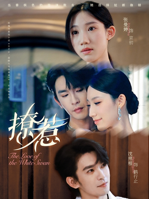 撩惹（80集）最新上映免费看