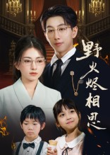 野火烬相思(61集) 野火烬相思(61集)小短剧推荐