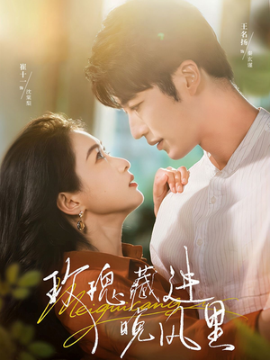 玫瑰藏进晚风里（68集）免费在线看