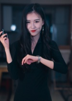 制裁者的游戏（25集）UC网盘在线看