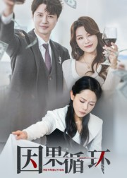因果循环（45集）最后一集