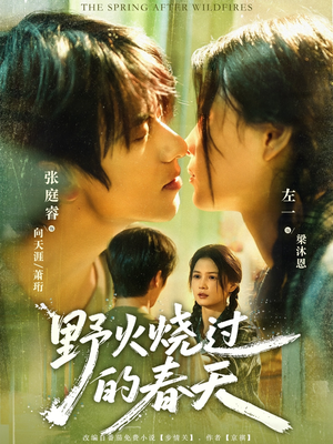 野火烧过的春天(85集) 野火烧过的春天(85集)热门短剧看不停