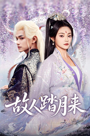 故人踏月来(60集) 故人踏月来(60集)精彩短剧看不停