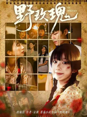 野玫瑰(82集) 野玫瑰(82集)短剧追到爽