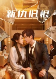 新仇旧恨(51集) 新仇旧恨(51集)经典老剧免费看