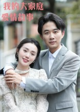 我的大家庭爱情故事(15集) 我的大家庭爱情故事(15集)全集免费