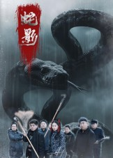 蛇影(25集) 蛇影(25集)古装短剧热播