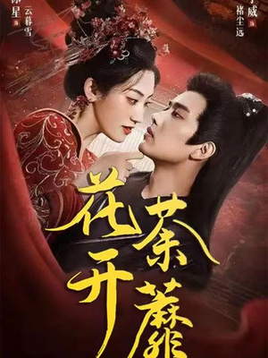 花开荼蘼(88集) 花开荼蘼(88集)全集完整版
