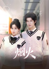 烟火（34集）演的怎么样