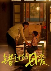 错过的母爱(32集) 错过的母爱(32集)免费短剧推荐