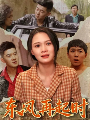 东风再起时(112集) 东风再起时(112集)经典老剧免费看