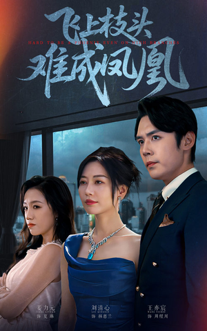 飞上枝头难成凤凰（47集）热门短剧追到爽