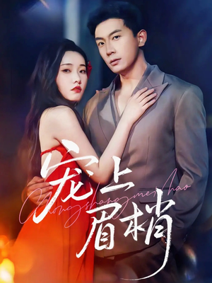 宠上眉梢(51集) 宠上眉梢(51集)看到了大结局