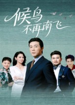 候鸟不再南飞(80集) 候鸟不再南飞(80集)全集
