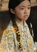 昭昭岁岁（30集）免费观看完整版