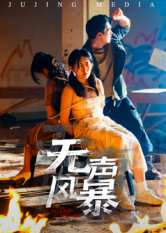 无声风暴(33集) 无声风暴(33集)追短剧看全集